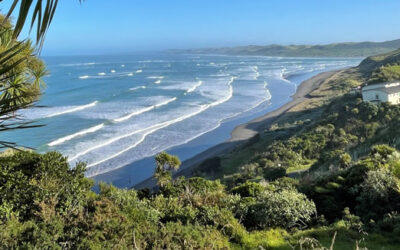 Questions from afar at the Raglan iHub